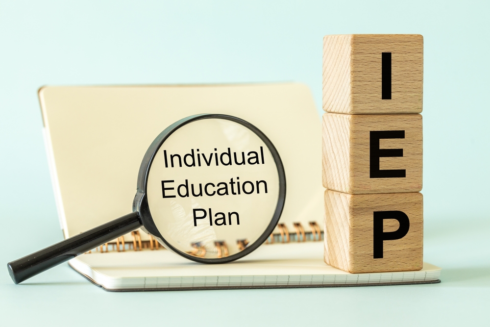 Individual Education Plan (IEP)